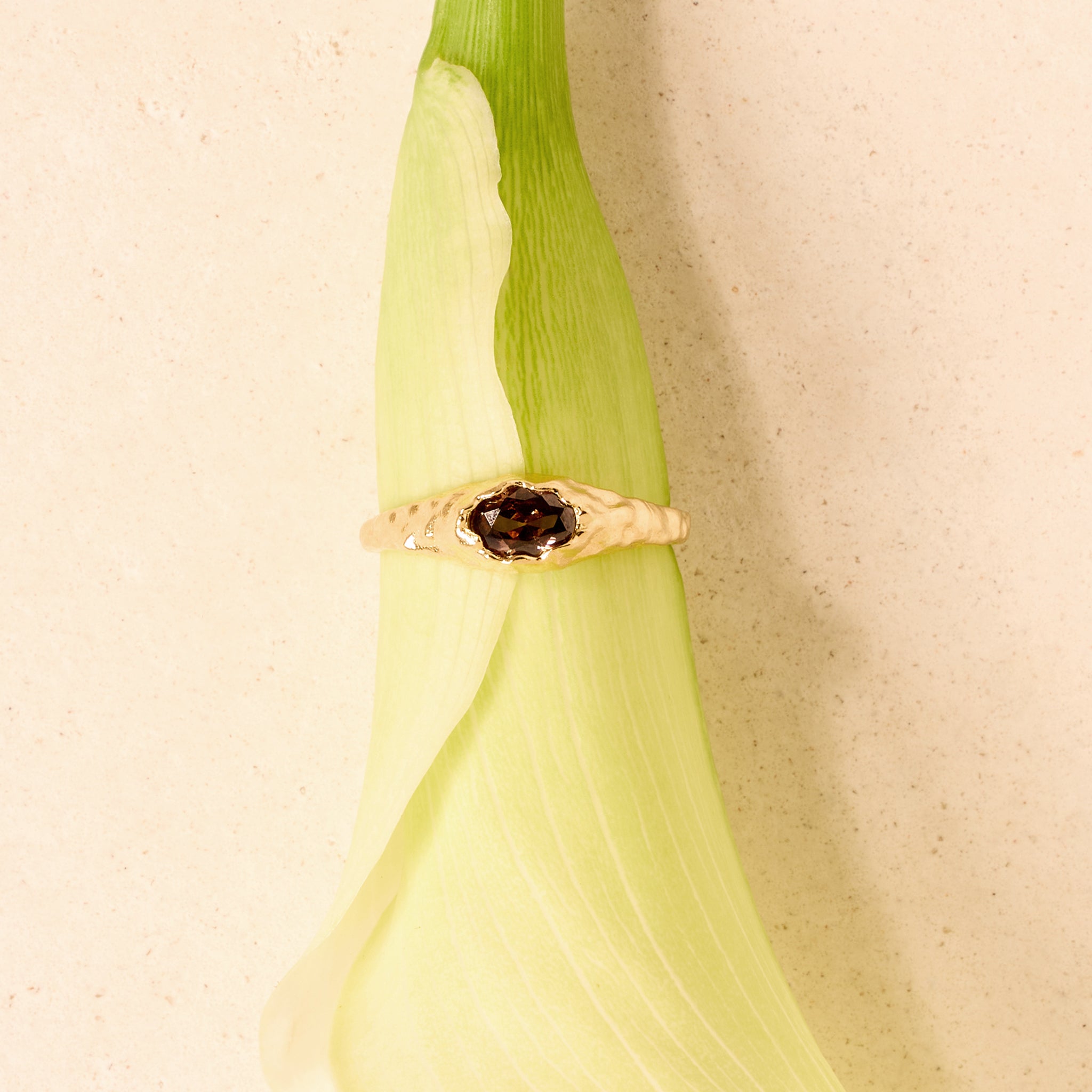 Mini Anello Maria Marrone