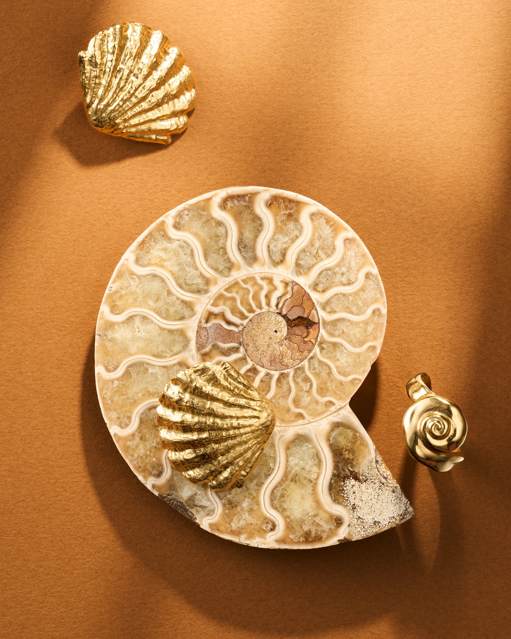 Bague Ammoni