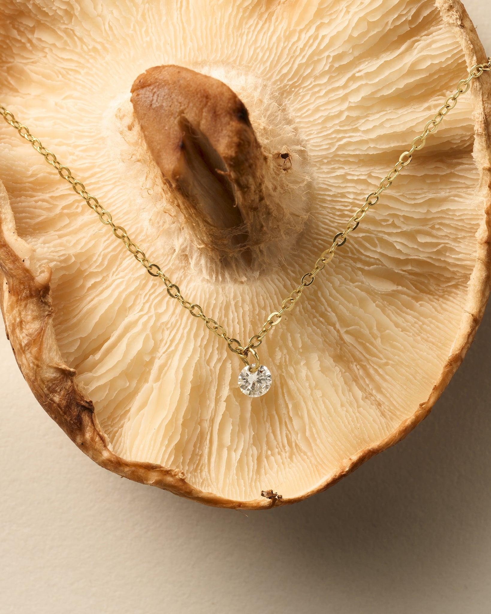 Sola Necklace: Fine golden chain with a single lab-grown diamond pendant on a mushroom gill background.