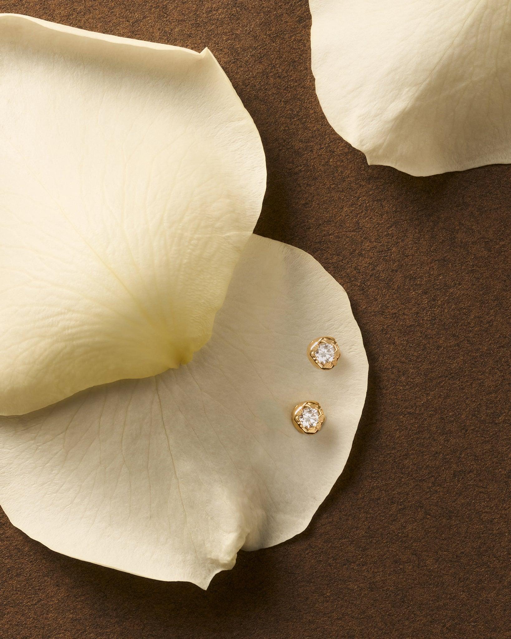 Ada stud earrings: round lab-grown diamonds in irregular golden bezels on cream rose petals.