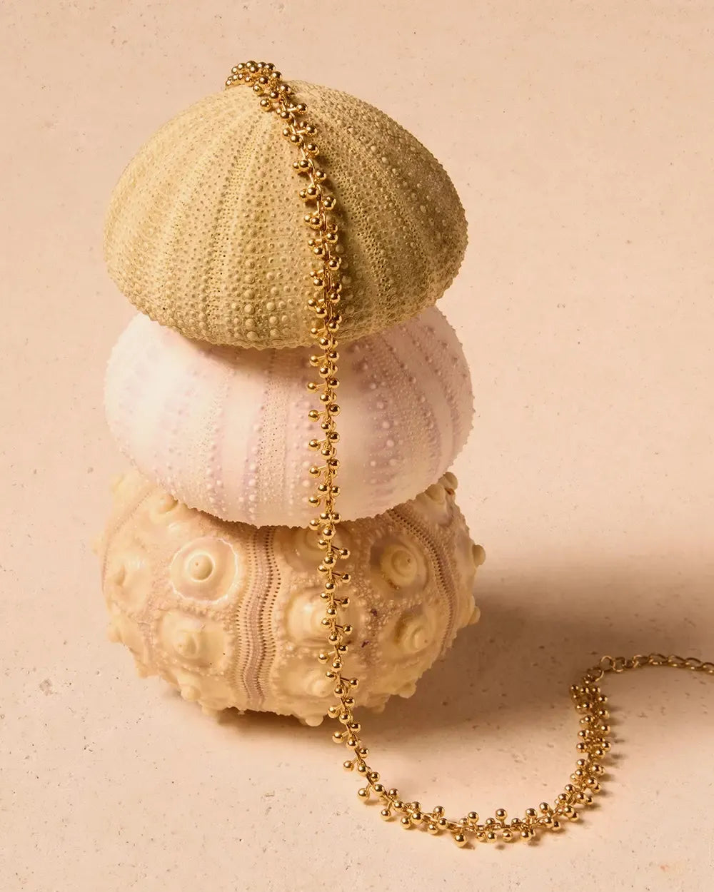 Ras-de-cou Achille : élégante chaîne dorée avec de petites perles, drapée sur un empilement de trois coquilles d'oursin.
