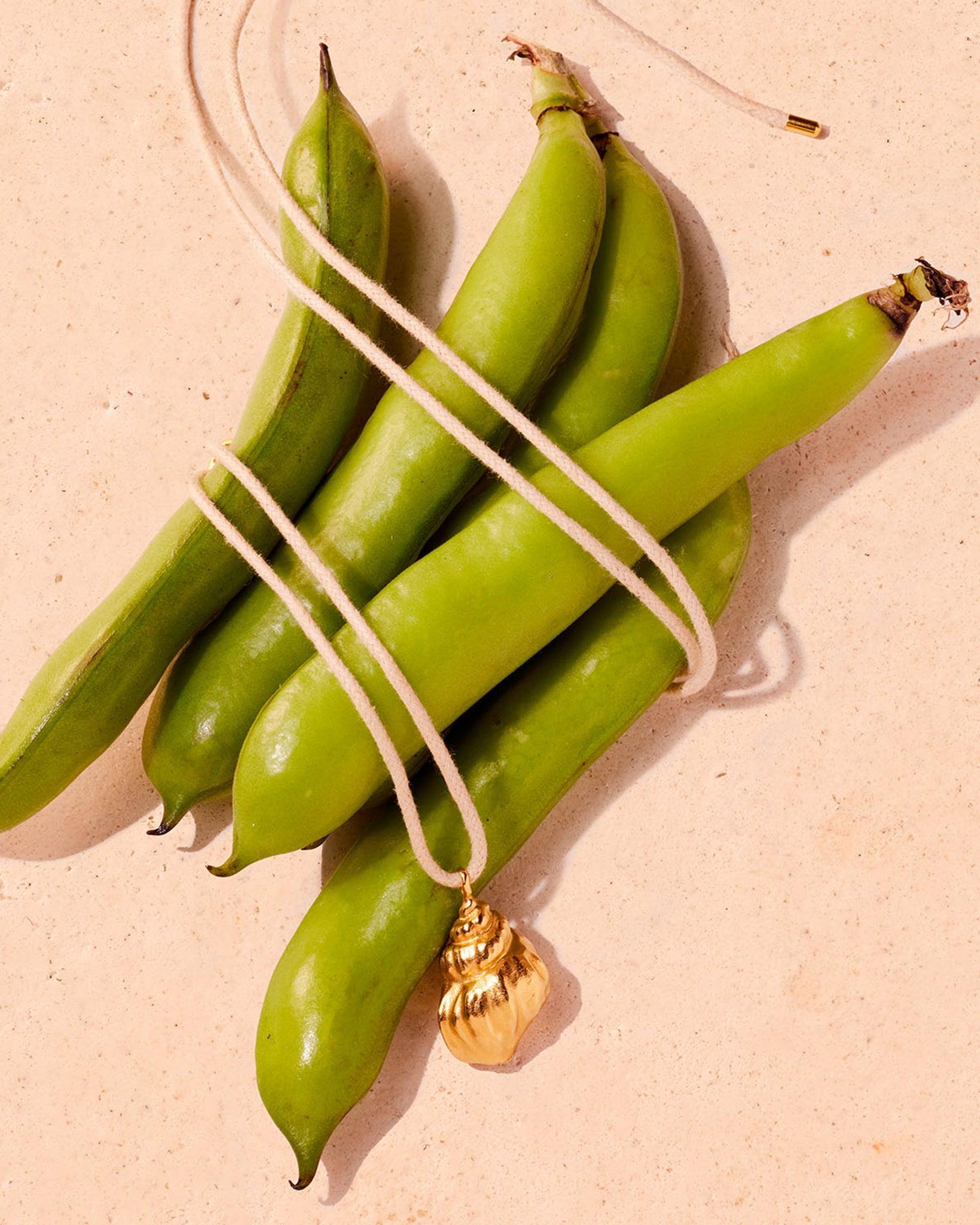 Golden seashell pendant on a beige waxed cotton cord, draped over green fava bean pods.
