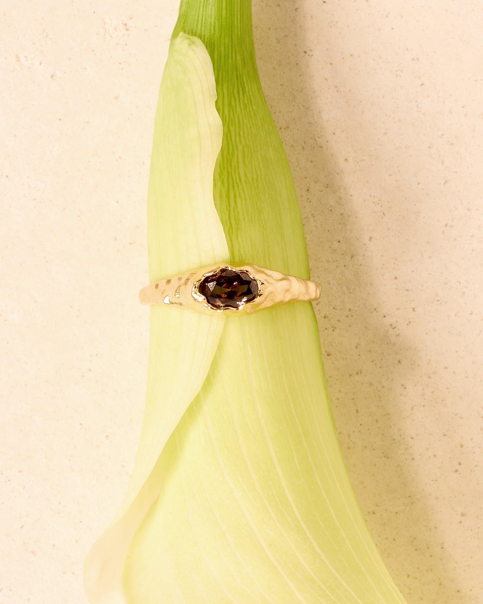 Mini Anillo Maria Marrón