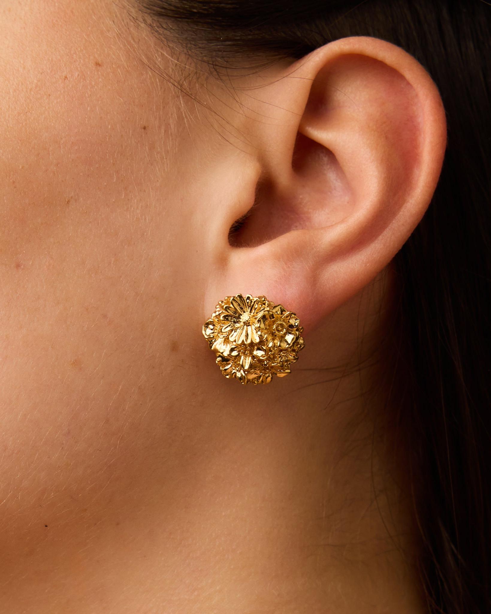 Pendientes Meli