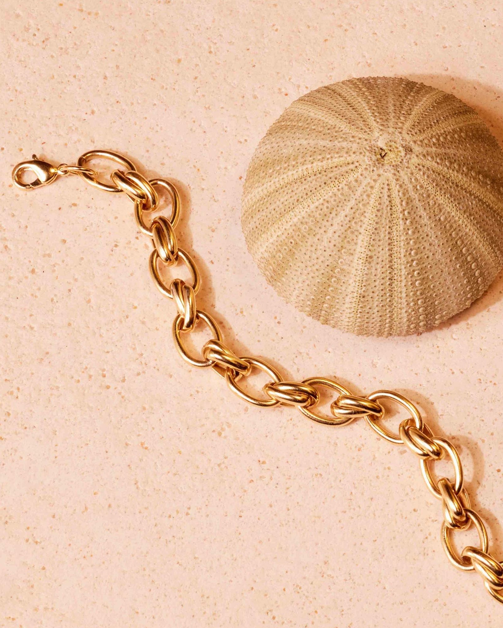 Gold Alessia rolo chain bracelet with interlocking single and double links, next to a sea urchin.