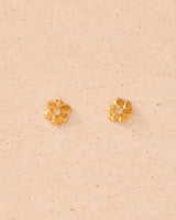 Boucles Stud Aleli
