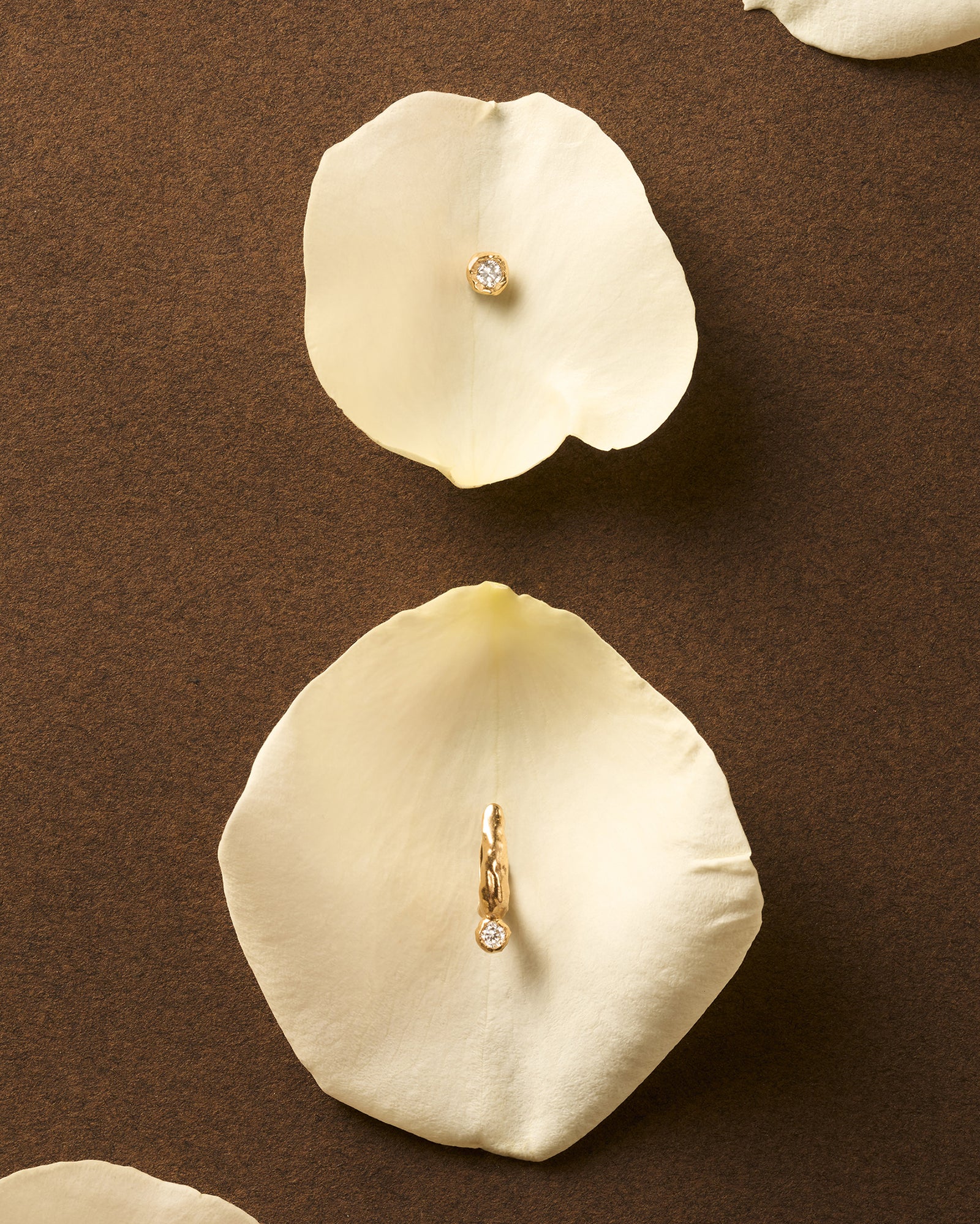 Ada Hoop Earrings