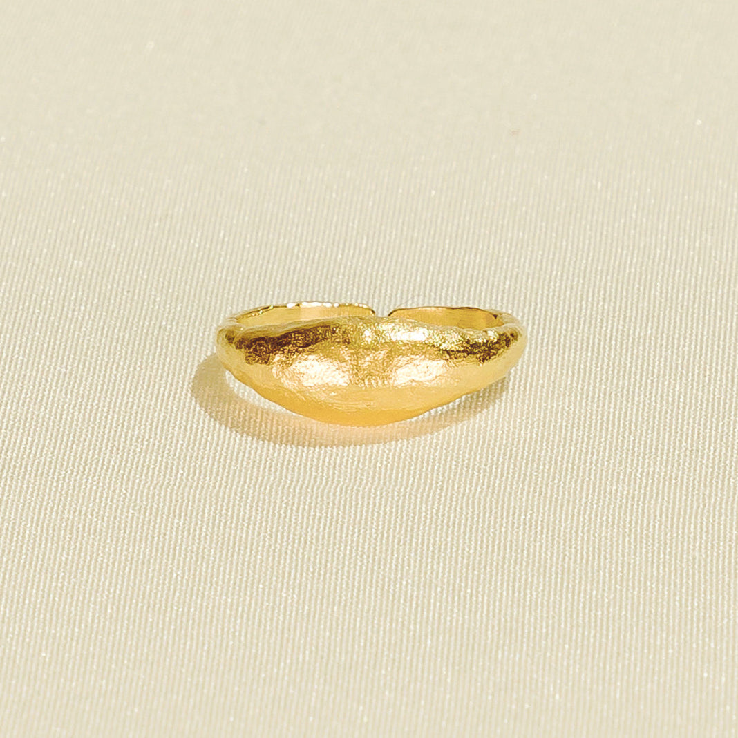 Anillo Medici