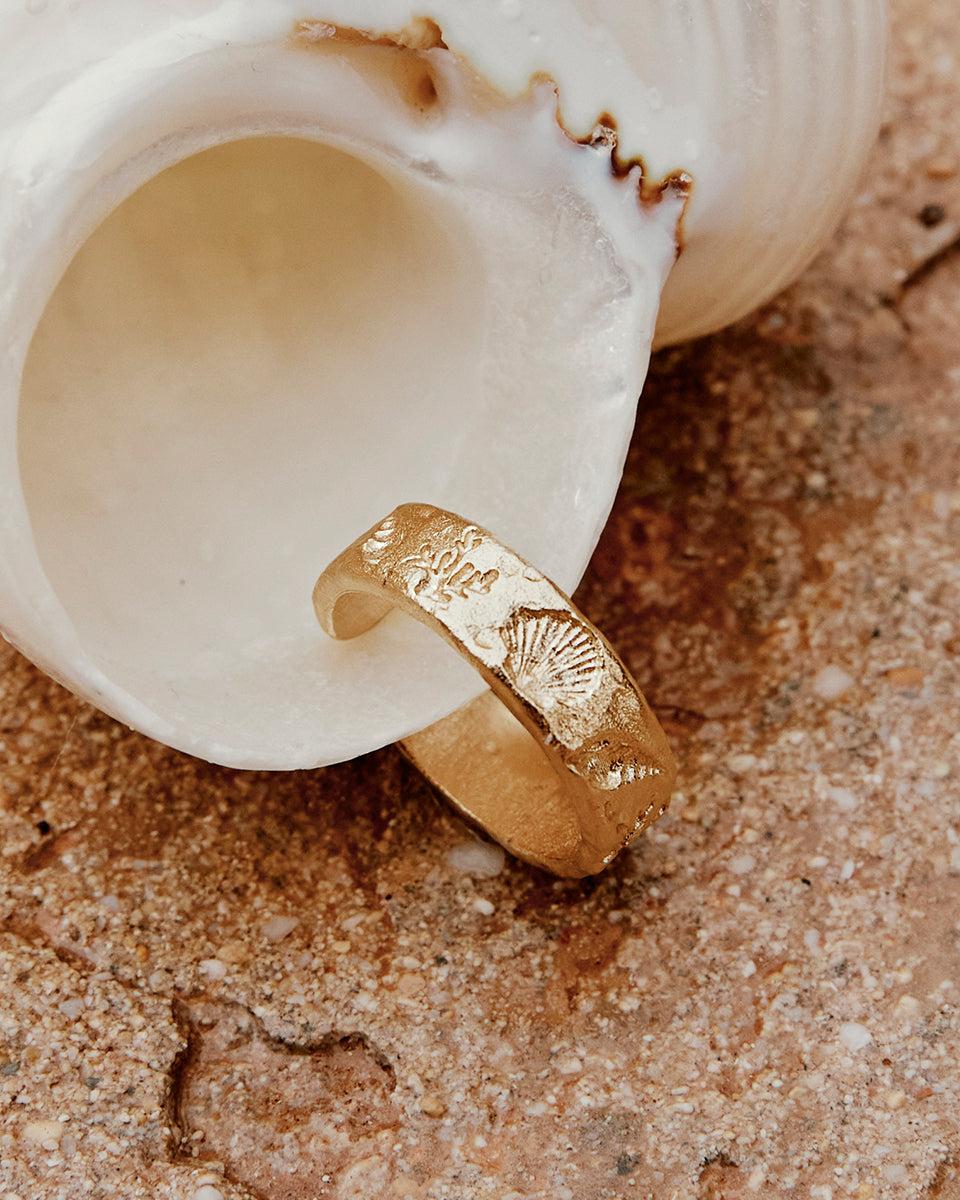 Gold Nucella ring with engraved coral and seashell motifs, resting in a white seashell on sand.