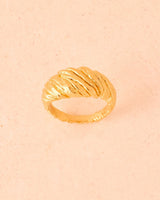 Anillo Zeta