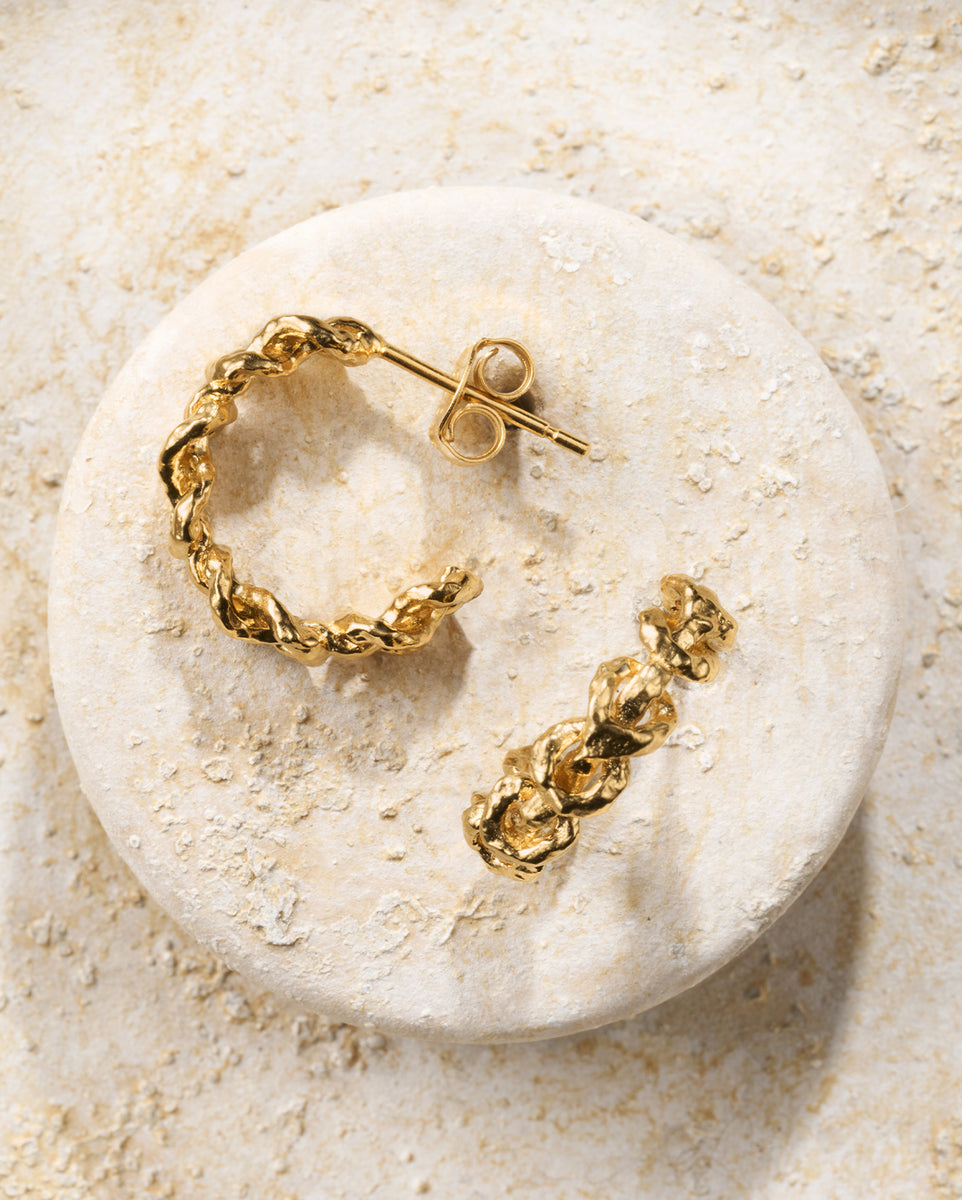 Earrings gold jewelry