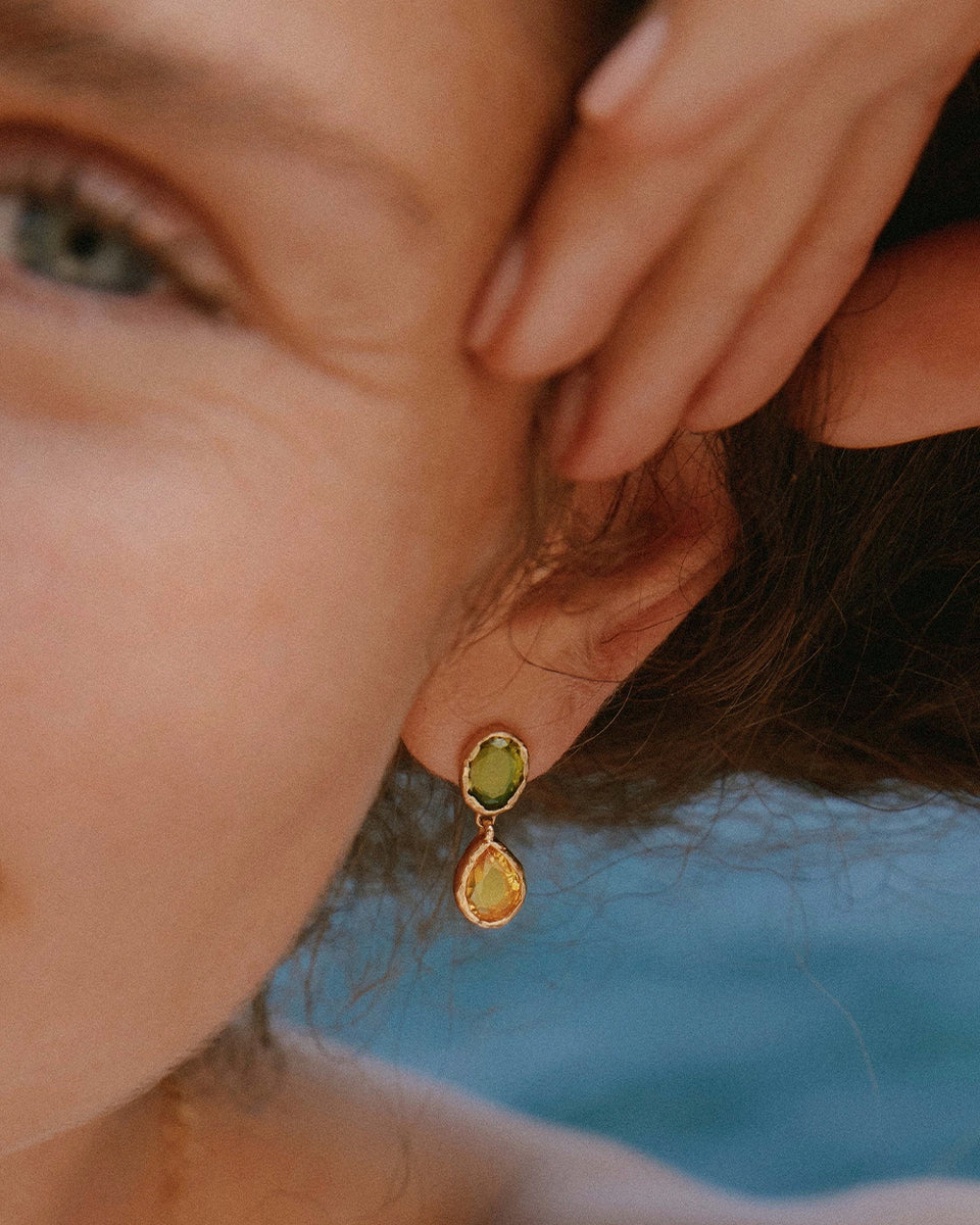 Earrings gold jewelry