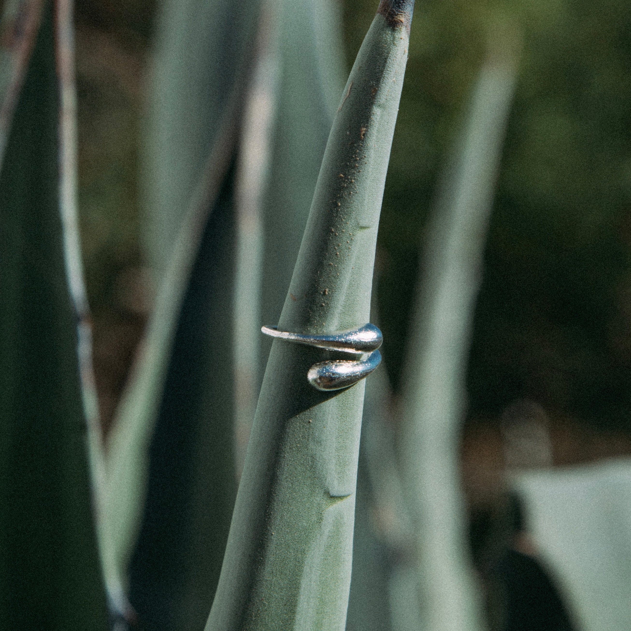 Filippa Ring Silber