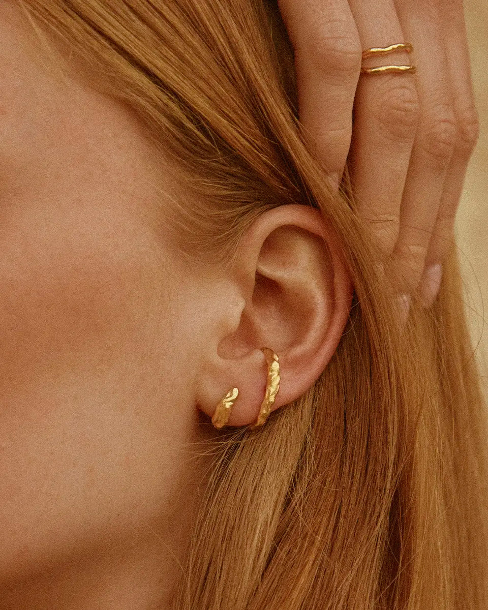 Earrings gold jewelry