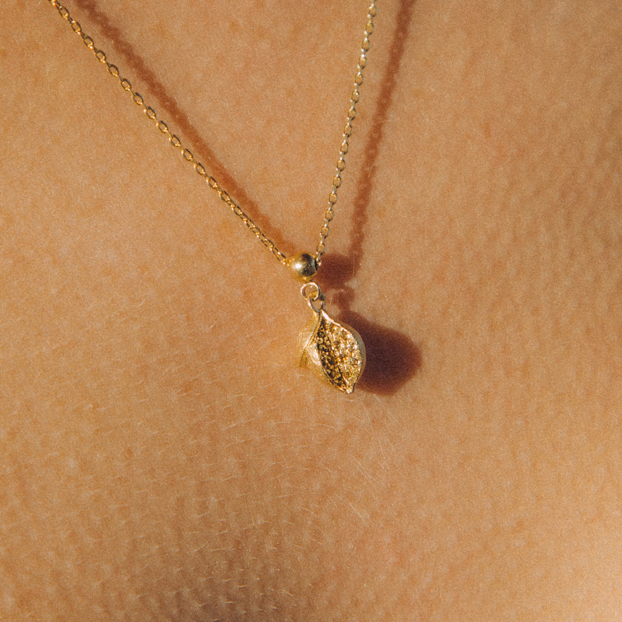 Cálida Charm