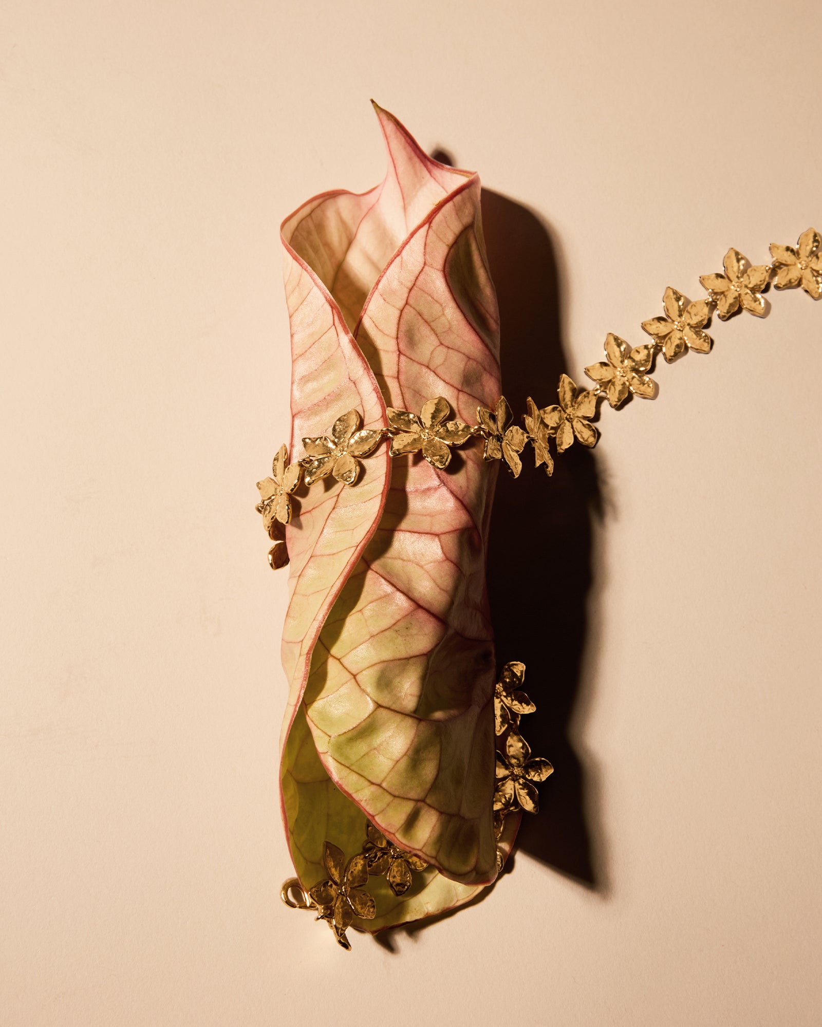 Thalla gold floral choker with hammered five-petal flowers, wrapped around a dried pink leaf.