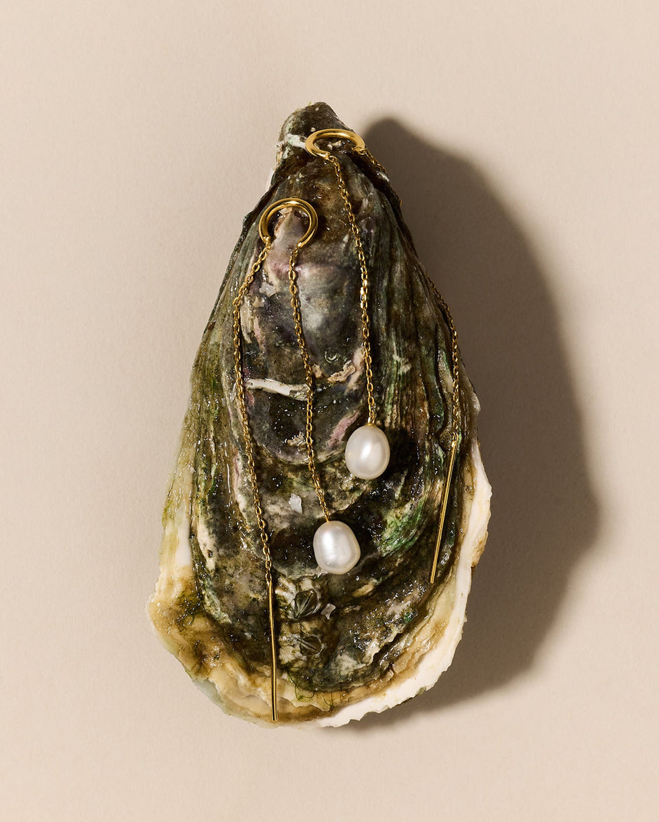 Earrings gold jewelry