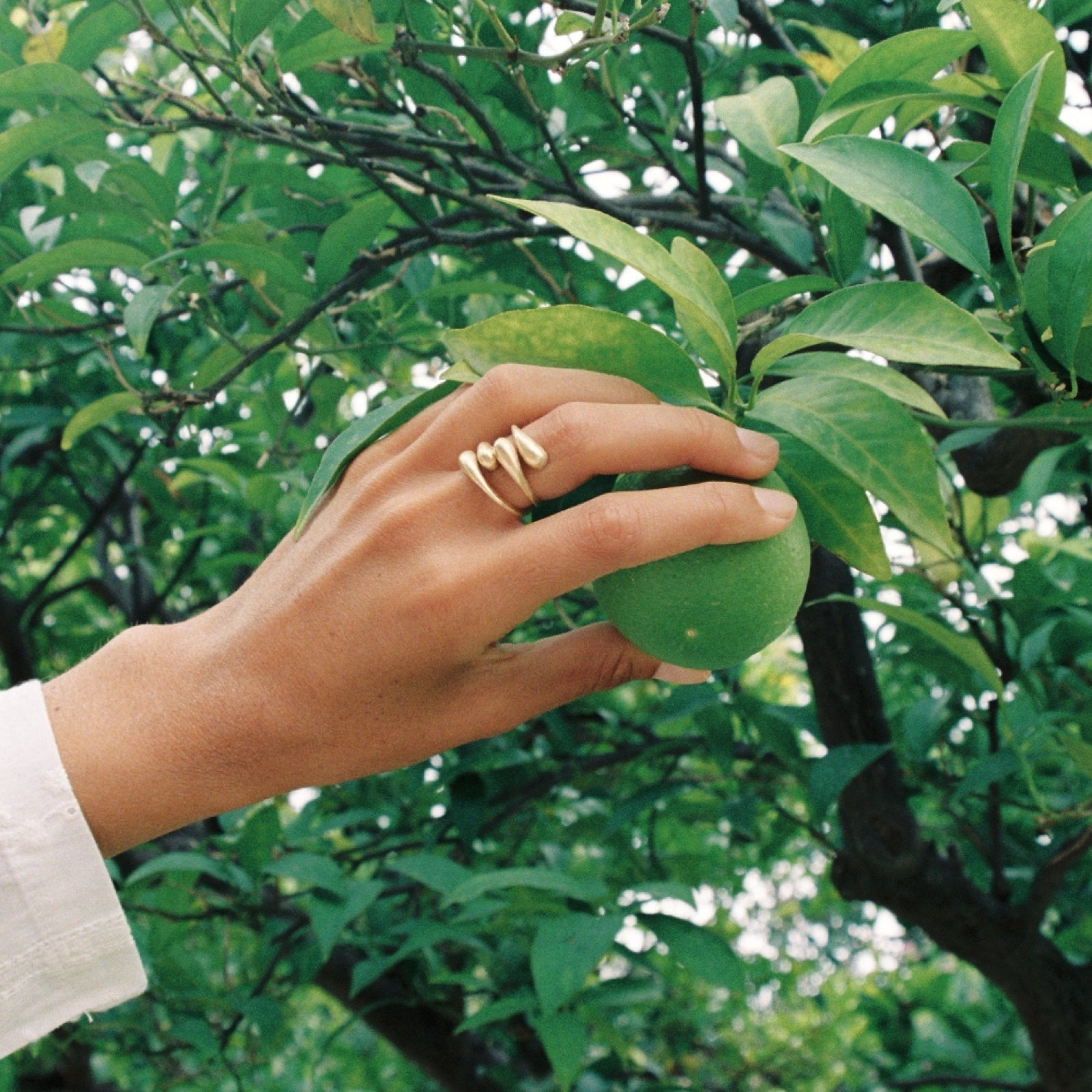 Anillo Filippa